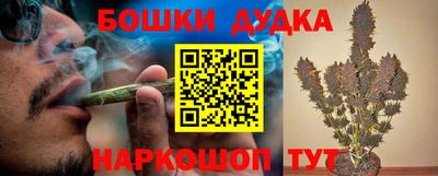 молекула духа Пугачёв