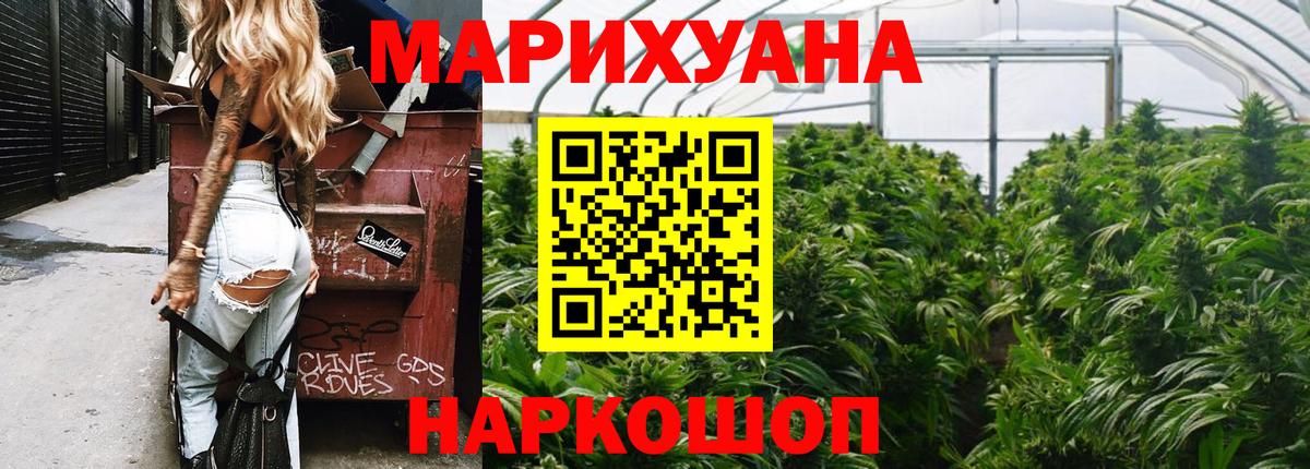 Канабис конопля Тверь
