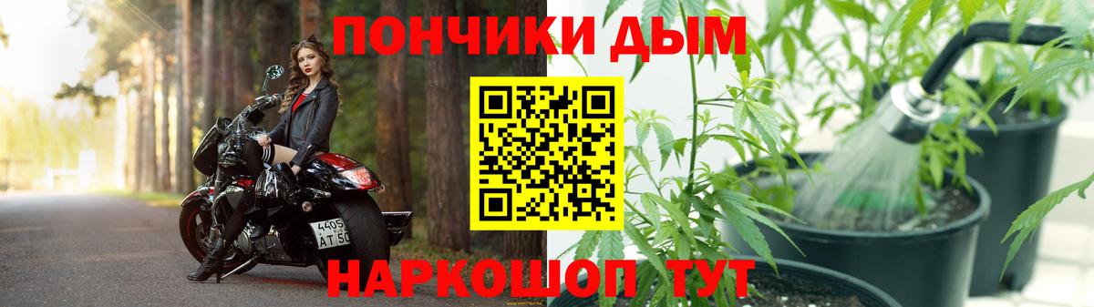 Бошки Шишки тримм  Вход с VPN  Каннабис SATIVA & INDICA  Марихуана White Widow  Тверь 